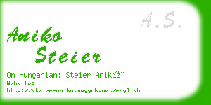 aniko steier business card